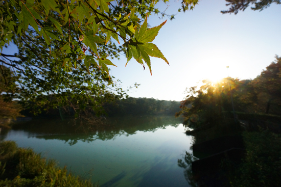 早朝｜朝日と池の写真