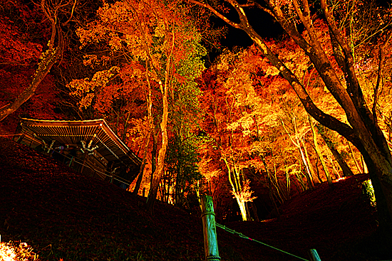 香嵐渓の紅葉と六角堂がライトアップされた写真