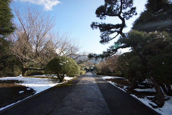 箱根にある恩賜箱根公園の展望台への道