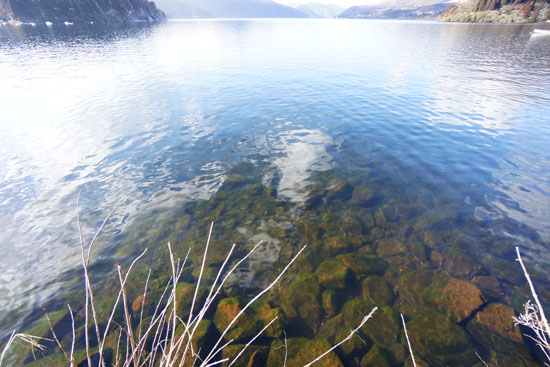 芦ノ湖遊覧船乗り場から水中を撮った写真