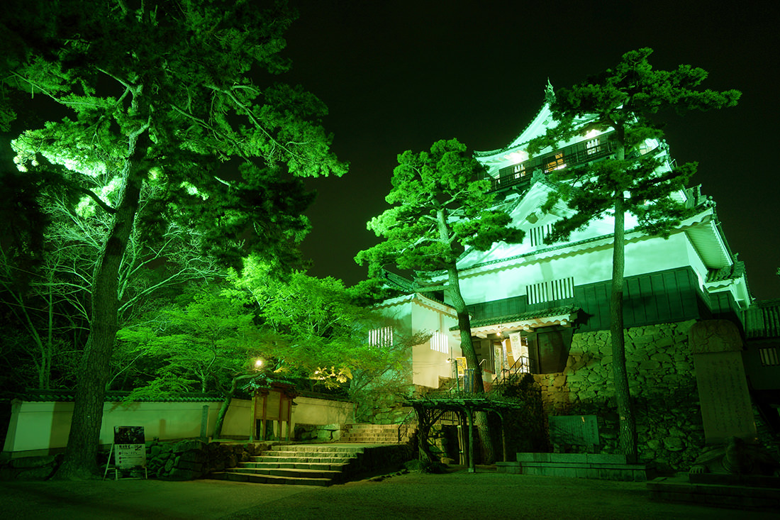 ライトアップされた岡崎城天守閣の画像