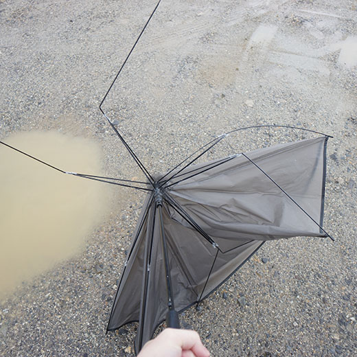 壊れた傘の写真