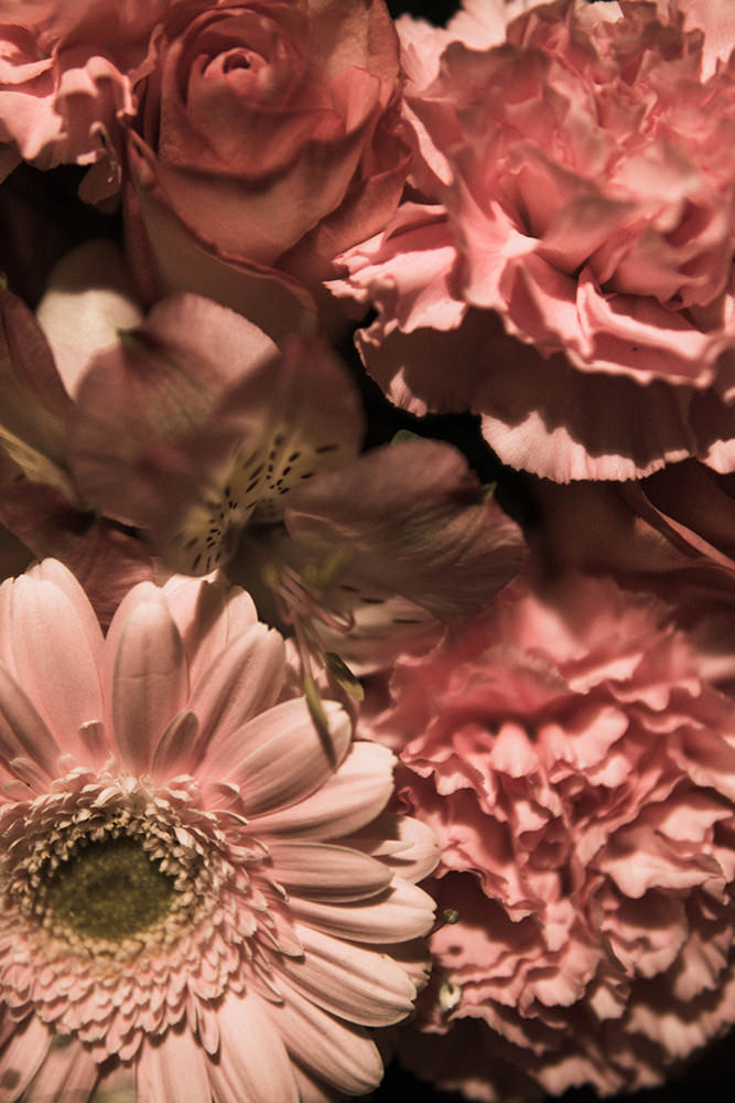 彩度を抑えたピンク色の花の写真